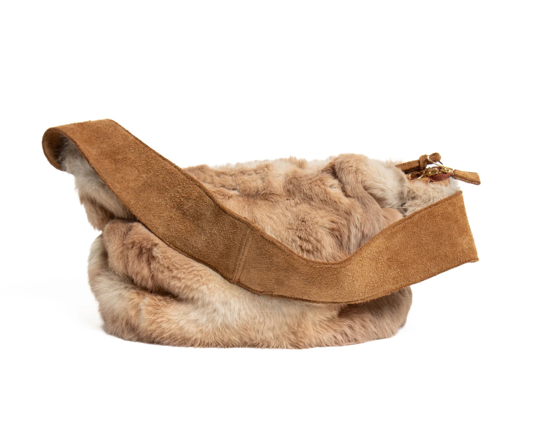 Quinn – Rex Rabbit
