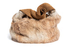 Quinn – Rex Rabbit