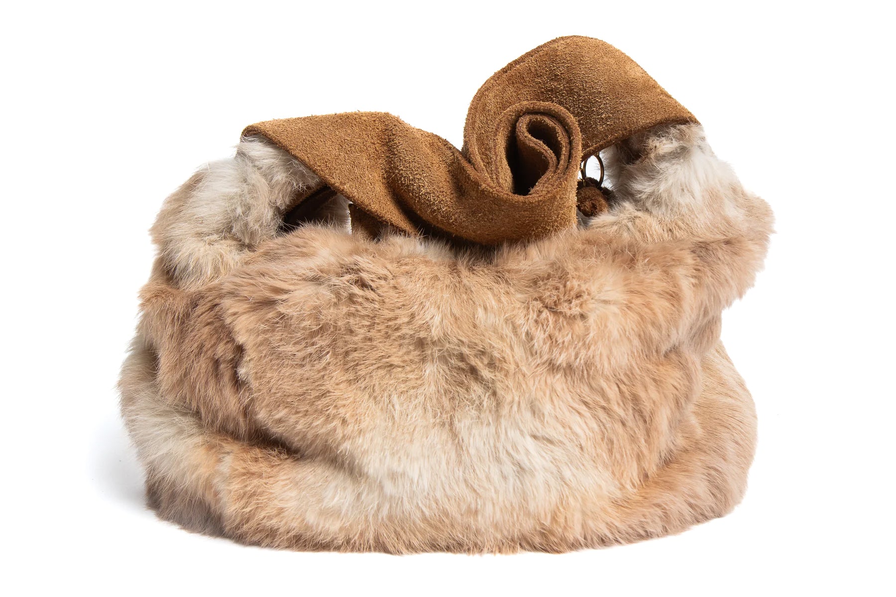 Quinn – Rex Rabbit
